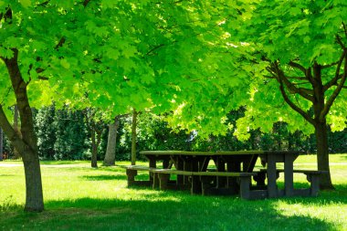 Laval, Quebec, Kanada: 02 Haziran 2018. Bir piknik masa ile muhteşem park peyzaj, ziyaretçi bekliyor. Güzel piknik alanı merkezi de la doğa ağaçları ile yeşil çayır üzerinde de Laval. Bir banka için kalan ağaçlar arasında sihirli sahne.