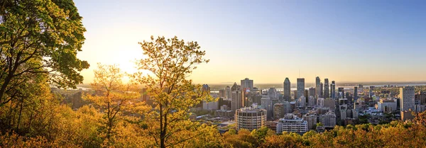 Montreal, Kanada, 21 Mayıs 2018. Montreal şehri güzel altın gündoğumu. Sabah saatlerinde Montreal şehir manzarası inanılmaz Panoraması. Mont-Royal Park altın güneş ışık görünümü.