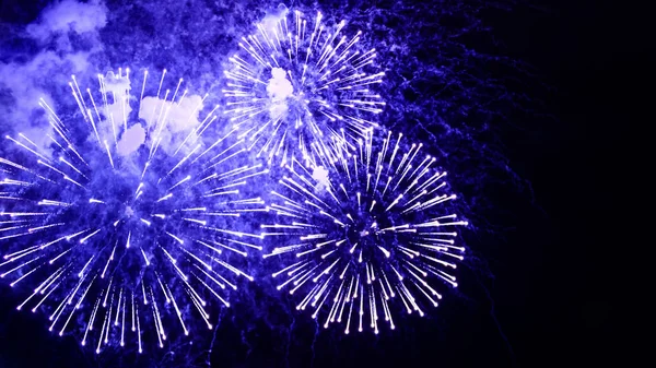 Gece gökyüzünde muhteşem havai fişek çiçekler. Koyu siyah renkli arka plan üzerinde parlak mavi havai fişek. Tatil dinlenmek zaman piroteknik gösterisi ile. Festival olay tatil salves tarafından eşlik