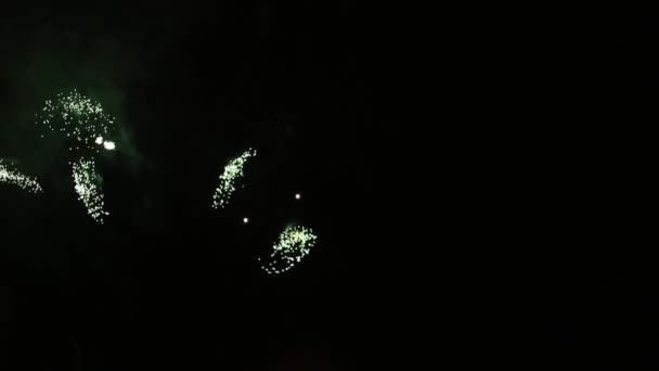 Pirotecnia Manzanilla Flores Cielo Nocturno Coloridas Lluvias Fuegos Artificiales Sobre — Vídeos de Stock