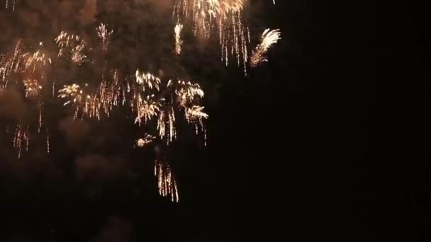 Fuegos Artificiales Colores Brillantes Sobre Fondo Color Negro Oscuro Hermosas — Vídeos de Stock