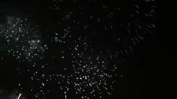 Kleurrijke Regendouches Van Vuurwerk Achtergrond Van Donkere Nacht Prachtige Vuurwerk — Stockvideo