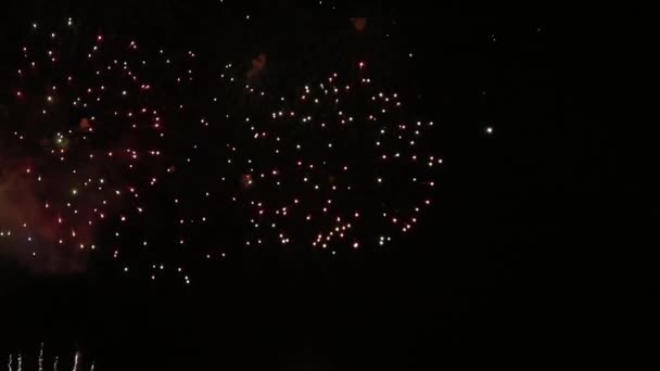 Exploderende Vuurwerk Nachtelijke Hemel Slow Motion Video Kleurrijke Regendouches Van — Stockvideo