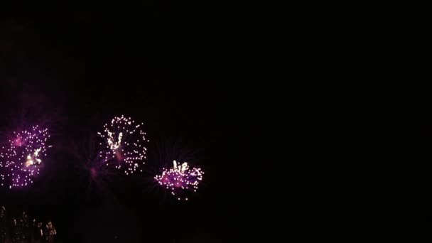 Floral Samenstelling Van Vuurwerk Nachtelijke Hemel Slow Motion Video Kleurrijke — Stockvideo