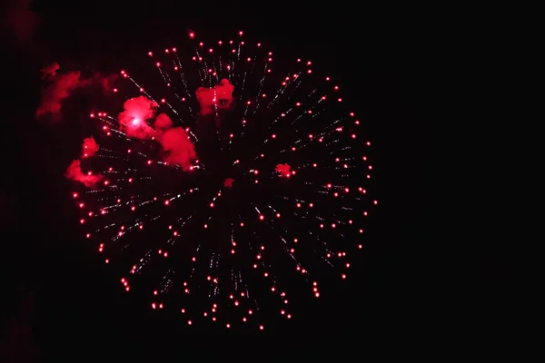 Gece Gökyüzü Güzel Fireworks Kırmızı Çiçekler Parlak Koyu Siyah Renkli — Stok fotoğraf