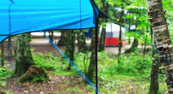 Camping site in the rainy summer day. Tourist tents installed in the forest. Survival camping equipment in the harsh climatic conditions. Forest background with rain soaked tents.