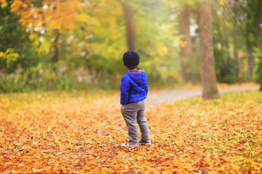 Bir çocuk sonbahar mevsiminde Ağaçlar Sonbahar yaprakları izlerken. Ormanda yalnız küçük çocuk büyülü sonbahar manzara (arkada yakalanan portre) sahiptir. Çocuk Altın Sonbahar Park uçan akçaağaç yaprağı saatler.