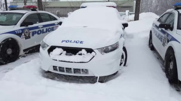 Laval Quebec Canada Februari 2019 Een Heleboel Politieauto Gestationeerd Lijn — Stockvideo