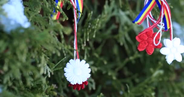 Erstaunliche Martisor Rot Weißem String Mit Hängender Quaste Martisor Ist — Stockvideo