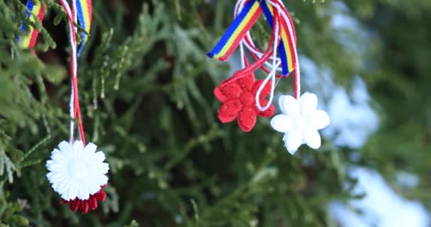 美丽的马提塞在红色和白色的字符串与悬挂的花相 Martisor 是罗马尼亚或 Moldam 传统的手工护身符 在春天 作为友谊 欣赏和尊重的象征 向亲人提供装饰物品 — 图库视频影像