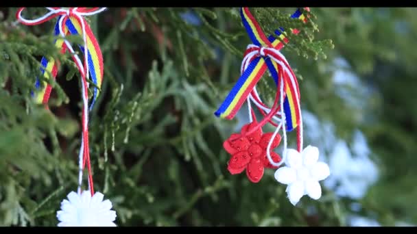 Martisor Een Rode Witte String Met Hangende Kwast Martisor Een — Stockvideo