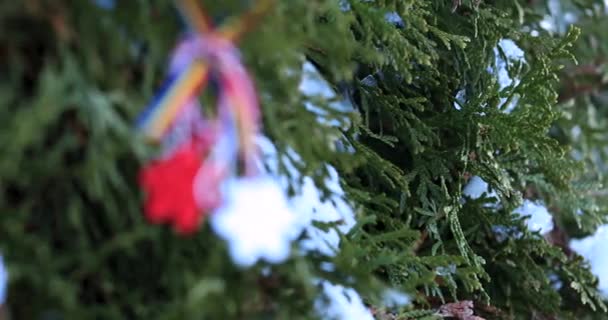 Moldavische Roemeens Voorjaar Symbool Martisor Martisor Een Rode Witte String — Stockvideo