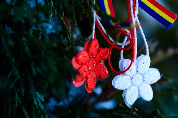 Moldavian Romanian Spring Symbol Martisor Green Natural Background Tricolor Elements — Stock Photo, Image