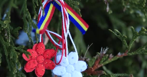 伝統的な Martisor タリスマンの愛 日の人々 によって提供される赤と白の文字列です ルーマニアとモルドバの春のシンボル 三色の要素を持つ緑の自然背景 Martisor 伝統的な休業アクセサリーを祝うが — ストック動画