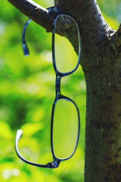 Modern style glasses hanging on a tree branch. Beautiful optometry glasses on green natural background. Conceptual photo for poor vision or myopia treatment. — Stock Photo, Image