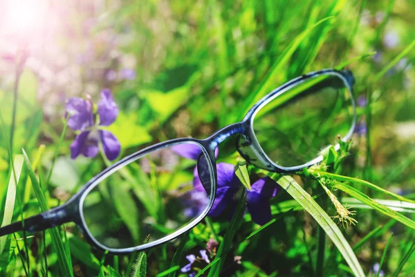 Süslü Optometri gözlük yeşil çim ve mor çiçekler. Zavallı görme veya miyop tedavisi için kavramsal resim.