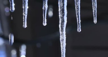 Çatıdan asılı parlak kristal buz sarkıtları. Güzel bir parlak arka plan üzerinde düşen parlak damla ile erime saçağı. Kanada 'da soğuk kış veya baharda buz sarkıt.