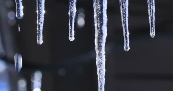 屋根からぶら下がって輝く水晶つらら 美しい明るい背景の上に輝く水滴と氷柱を溶融 カナダの寒い冬または春の氷の鍾乳石 — ストック動画