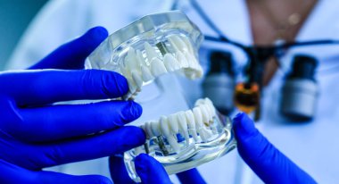 Diş hekimliği kliniğinde gerçek doktor tarafından tutulan diş modeli. Diş restorasyonu. Klinik laboratuvarının arka planında ağız bakımı ve ortodontik tedavi. Protez uzmanı üniversite kursunda çene yi takdim etti.