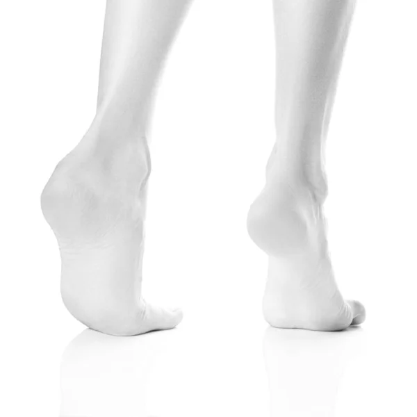 Вид Ззаду Жіночі Голі Ноги Стоять Кінчиках Білому Тлі — стокове фото