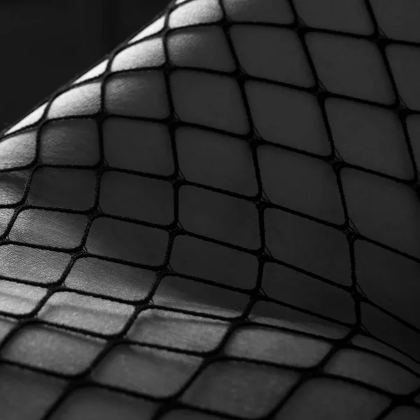 Female Body Part Wearing Fetish Underwear Fishnet Stockings Monochrome — Stock Photo, Image