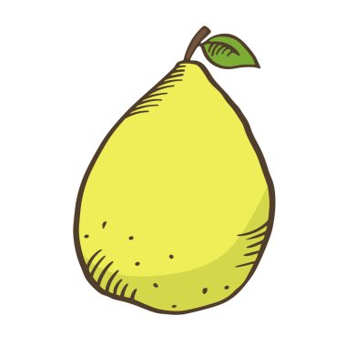 Yeşil armut karikatür izole. Vektör armut. Elle çizilmiş armut. 