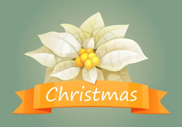 Poinsettia Рождественская Звезда Белые Листья Изолированы Оранжевой Рождественской Этикеткой Открытки — стоковый вектор