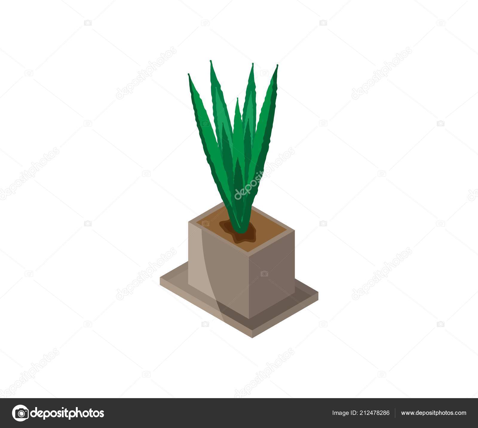 Isometric Illustration Indoor Plant Flower Pot Vector Icon