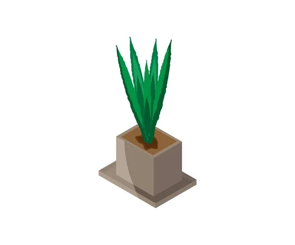 植木鉢に観葉植物のアイソメ図は のアイコンをベクトルします 観葉植物 花のインテリア デザインの要素 — ストックベクタ