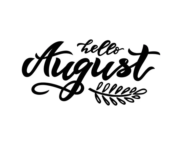 Hello August handwritten lettering on white background. Vector — Stock Vector