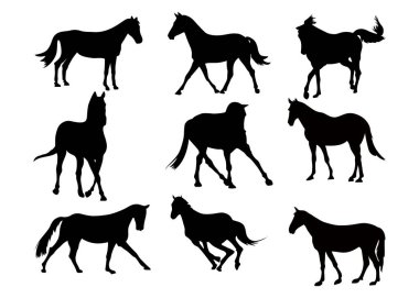 siluetler grafik vektör illüstrasyon seti