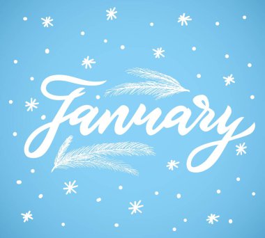 Hand lettering calligraphy January with snowflake and spruce branch. Vector illustration. clipart