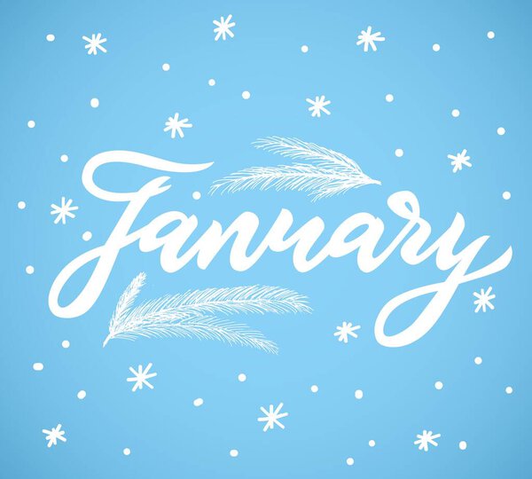 Hand lettering calligraphy January with snowflake and spruce branch. Vector illustration.