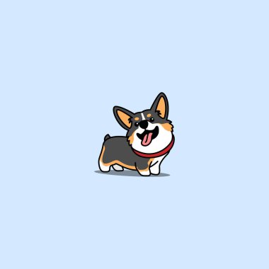 Şirin Corgi üç renkli yavru köpek çizgi filmi, vektör illüstrasyonu