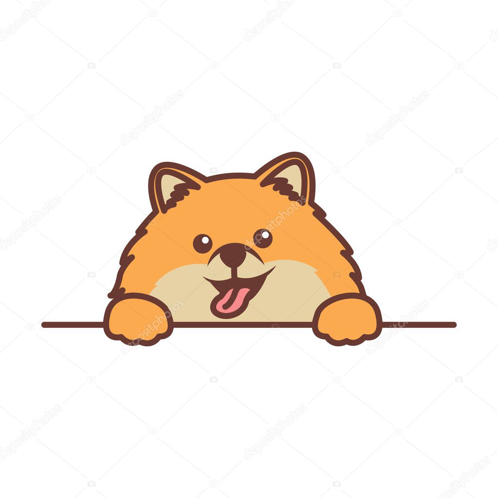 Cute pomeranian dog paws up over wall, vector illustration