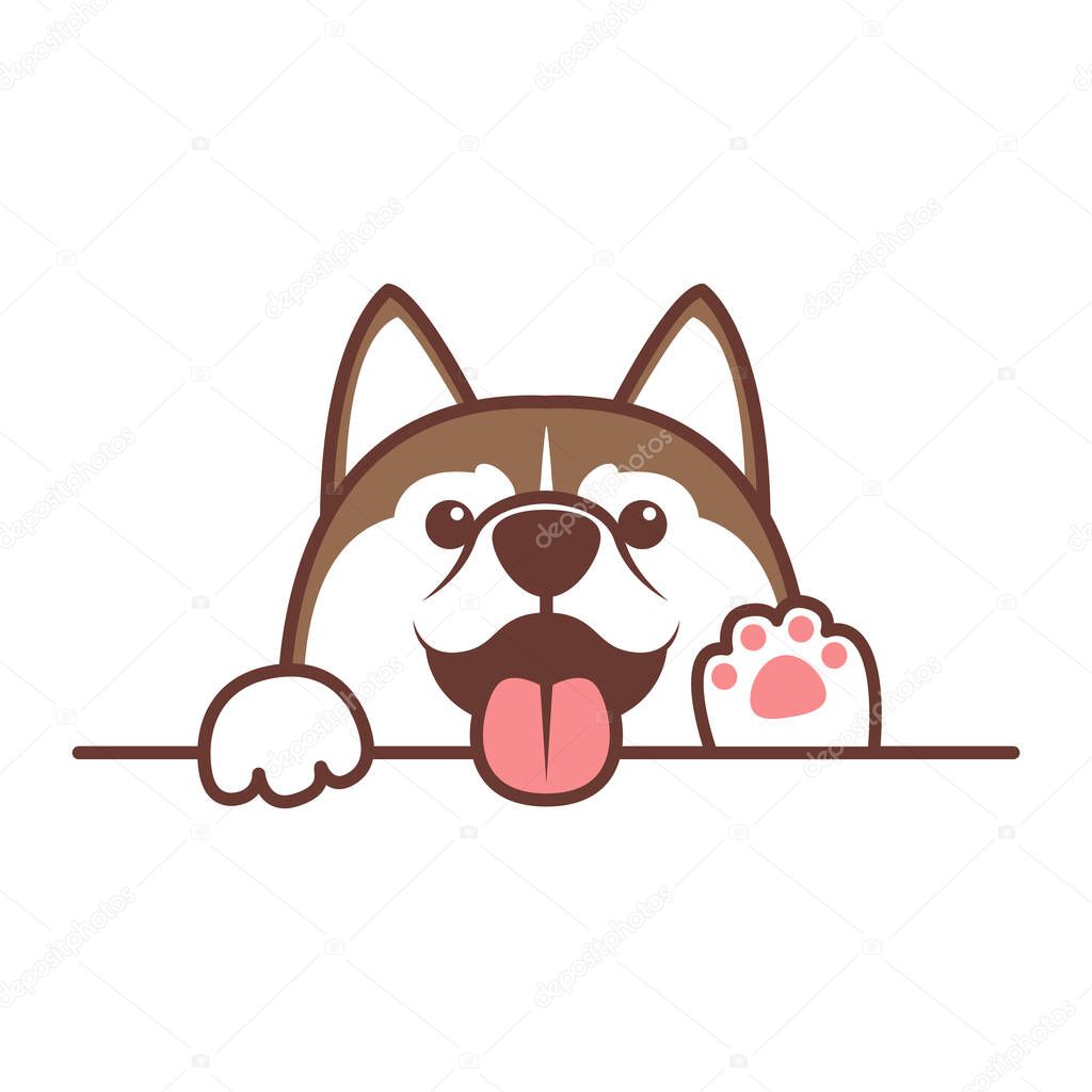 Cute brown siberian husky dog peeking over wall, vector illustration