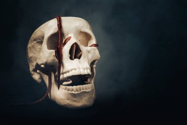 Göz yuvalarında kurtçuklar olan, duman içinde tüyler ürpertici bir insan kafası. Cadılar Bayramı konsepti, yaşam ve ölümün dramatik bir yorumu..