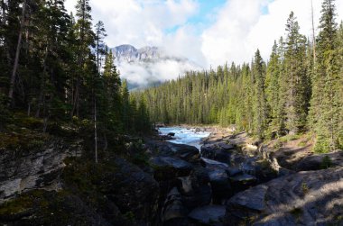 Küçük Kanada river canyon Dağları ve ağaçları