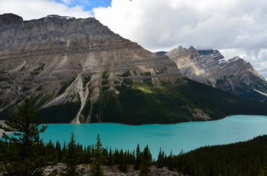 Bulutlu bir günde, Kanada'da Peyto Gölü