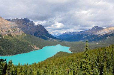 Bulutlu bir günde, Kanada'da Peyto Gölü