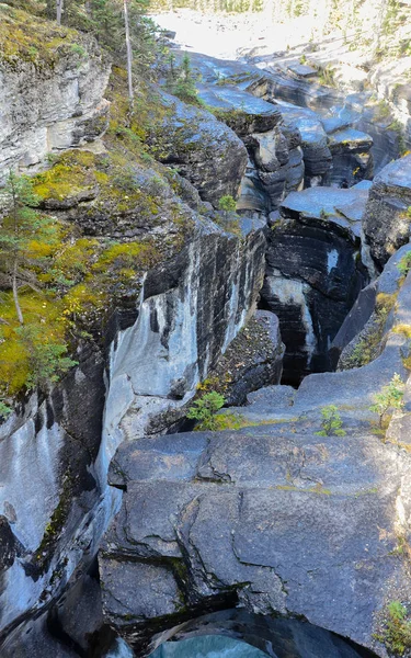 Niewielki Kanion Rzeki Kanadyjskich Gór Drzew — Zdjęcie stockowe