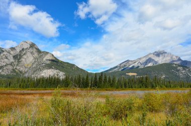 Kanada doğa ağaçlar, göller, nehirler ve Dağları ile.