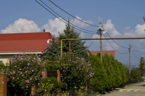 Street of the southern village on the Black Sea