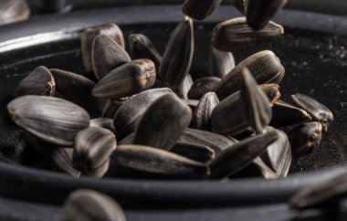 Siyah çiçekler müzik atlama Ayçiçeği tohumları