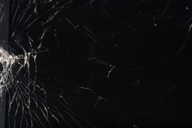 Kırık smartphone ekran, çatlak ve kırık cam altında çeşitli yılan