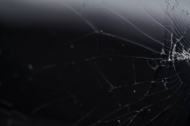 Kırık smartphone ekran, çatlak ve kırık cam altında çeşitli yılan