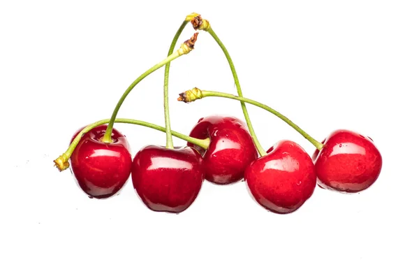 Beeren Reif Rote Süßkirschen Liegen Mit Tropfen Und Spritzern Wasser — Stockfoto