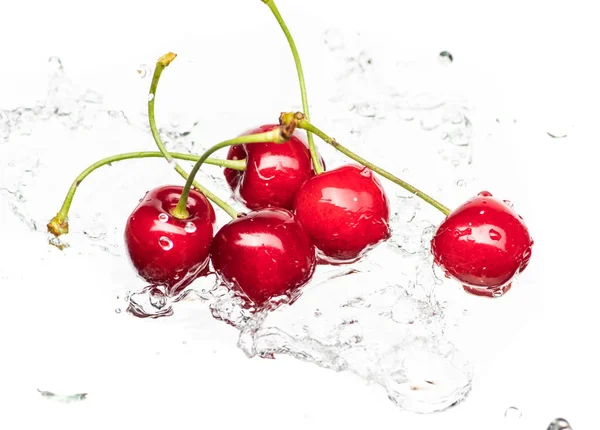 ベリーは 水の滴と飛沫で横たわっている赤い甘いサクランボを熟した — ストック写真