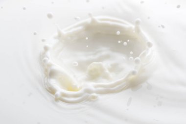 beyaz bir arka plan üzerinde beyaz süt düşen damla sıçrama