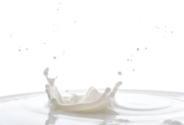 Salpicaduras Gotas Leche Blanca Sobre Fondo Blanco — Foto de Stock